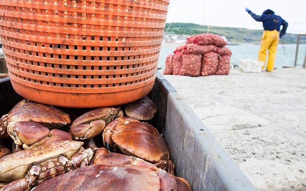 Nhộn nhịp lễ hội b&ecirc;n bờ biển nước Anh